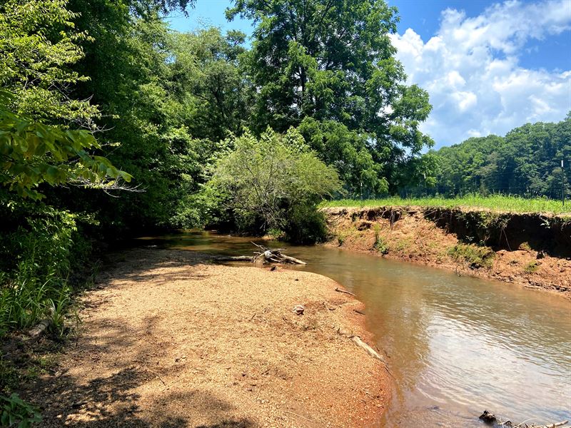 Middle Fork Twelvemile Creek Tract : Pickens : Pickens County : South Carolina