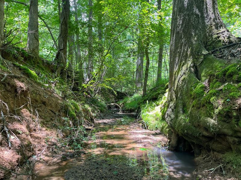 Hinds County-147.5 Acres : Jackson : Hinds County : Mississippi