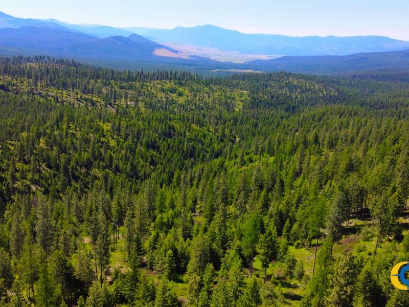 Corona Road Ranch : Plains : Sanders County : Montana