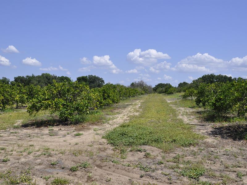 Frostproof Residential Development : Frostproof : Polk County : Florida