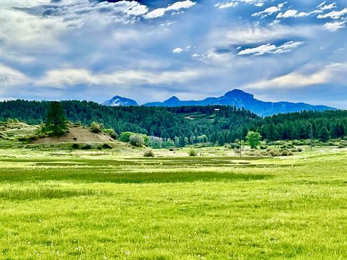 Pagosa Springs Colorado Sheep Farms for Sale : FARMFLIP