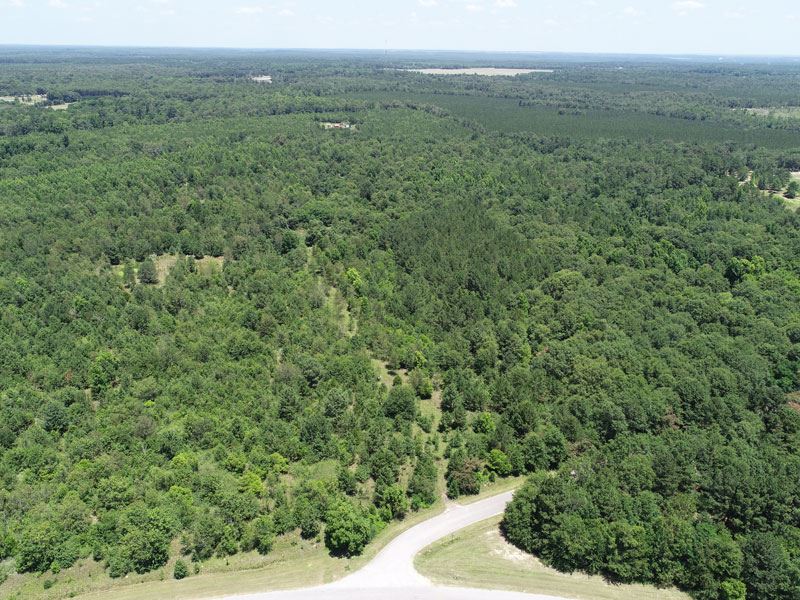 52.69 Acres, Richmond County, GA : Blythe : Richmond County : Georgia