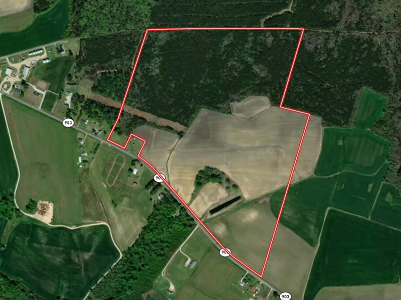 116 Acres of Farm : Snow Hill : Greene County : North Carolina