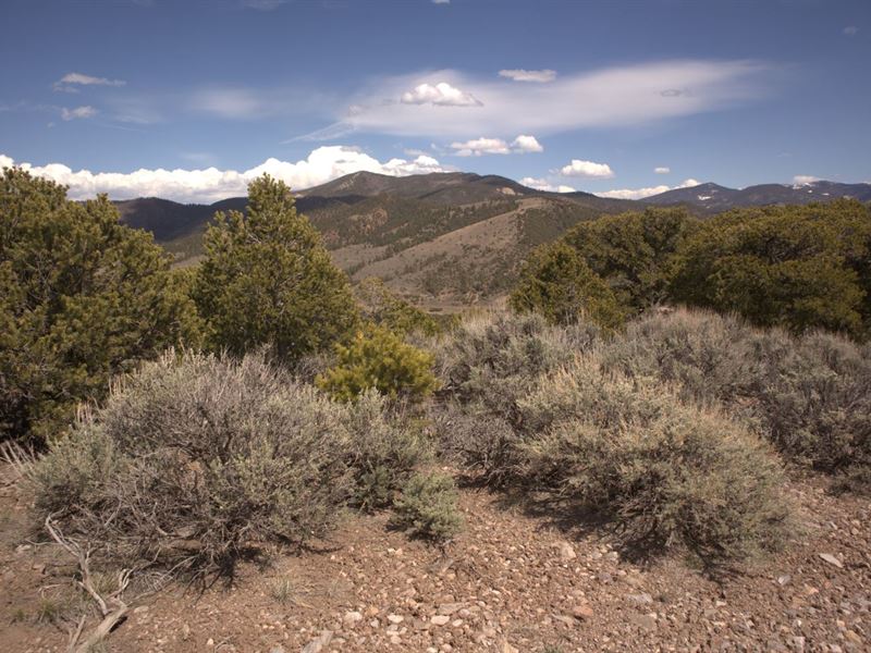 5 Acres in CO Lets You Start Fresh : Fort Garland : Costilla County : Colorado