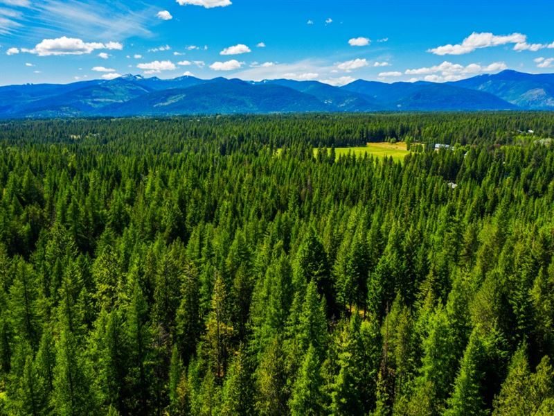 Pretty on Peak : Bonners Ferry : Boundary County : Idaho