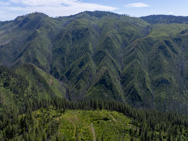 Forest Garden, Parcel 7 : Weippe : Clearwater County : Idaho