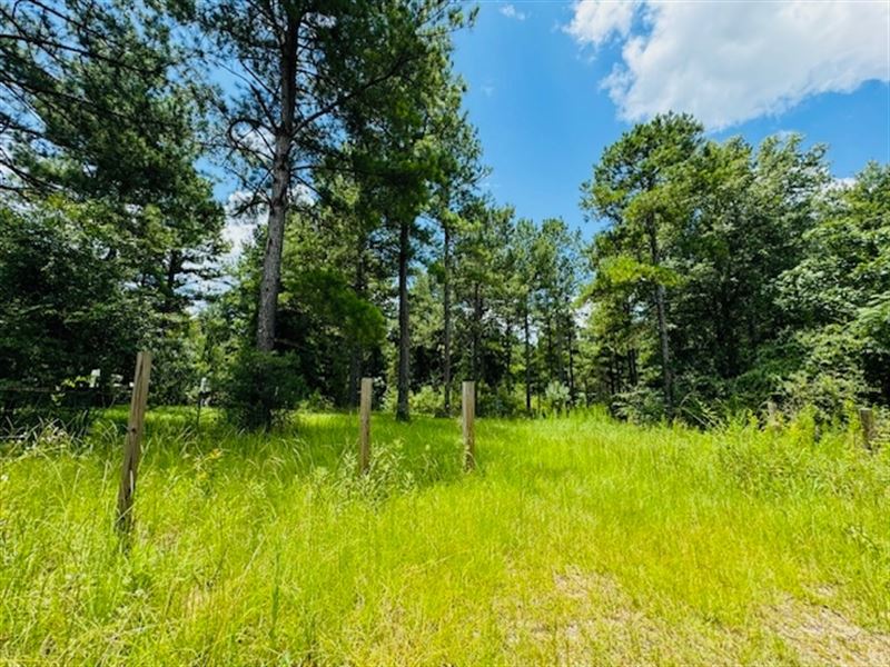 10.61 Acres Located On Bill Dier Ro : Tylertown : Walthall County : Mississippi