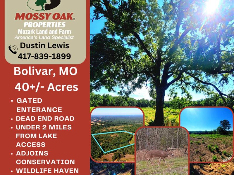 Bolivar Property Near Pomme DE Terr : Bolivar : Polk County : Missouri