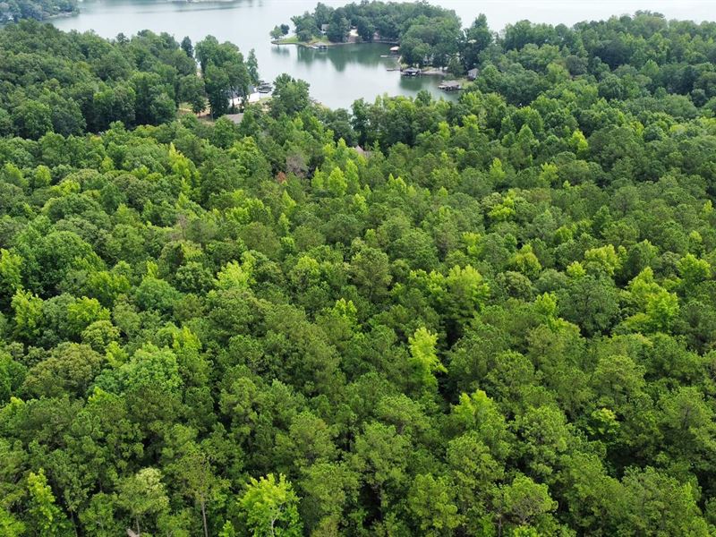 6 Acres on Lake Harding : Valley : Lee County : Alabama