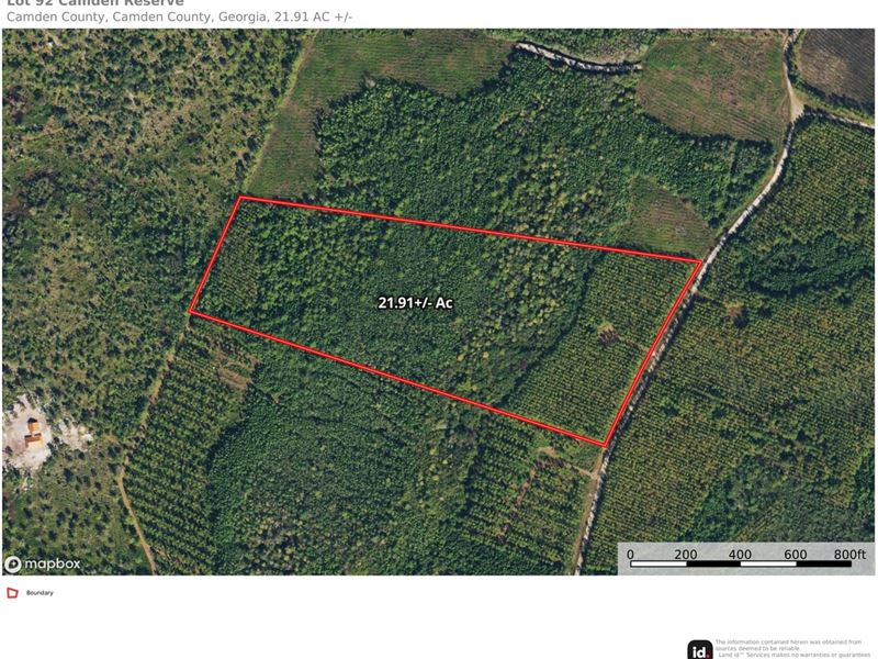 22 Acres in Camden County, GA : White Oak : Camden County : Georgia