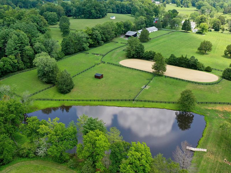 Keswick, VA Horse Farm : Keswick : Albemarle County : Virginia