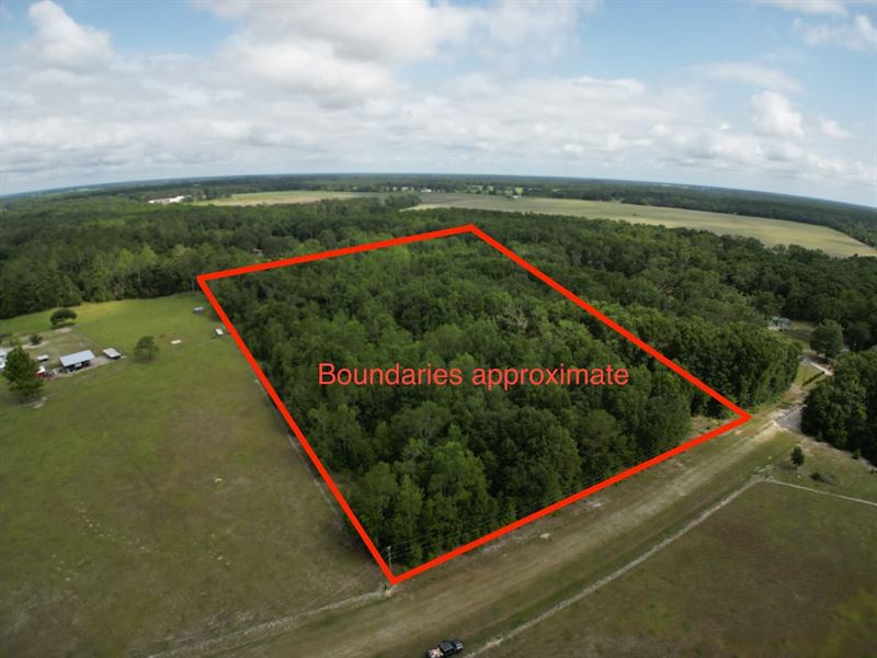 McAlpin 10 Acres : McAlpin : Suwannee County : Florida