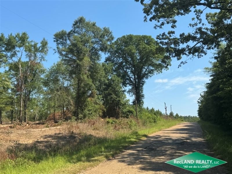 20.26 Ac Wooded Home Site Tract : Marion : Union Parish : Louisiana