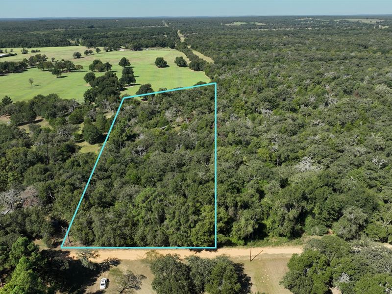 5.33 Acres in Burleson County, TX : Caldwell : Burleson County : Texas