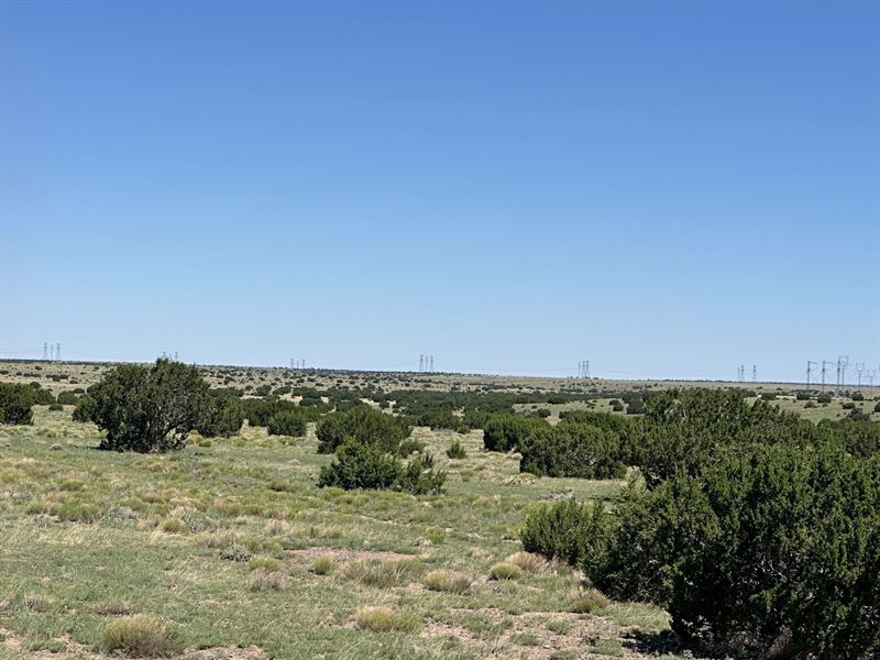 Catron County 198 : Quemado : Catron County : New Mexico