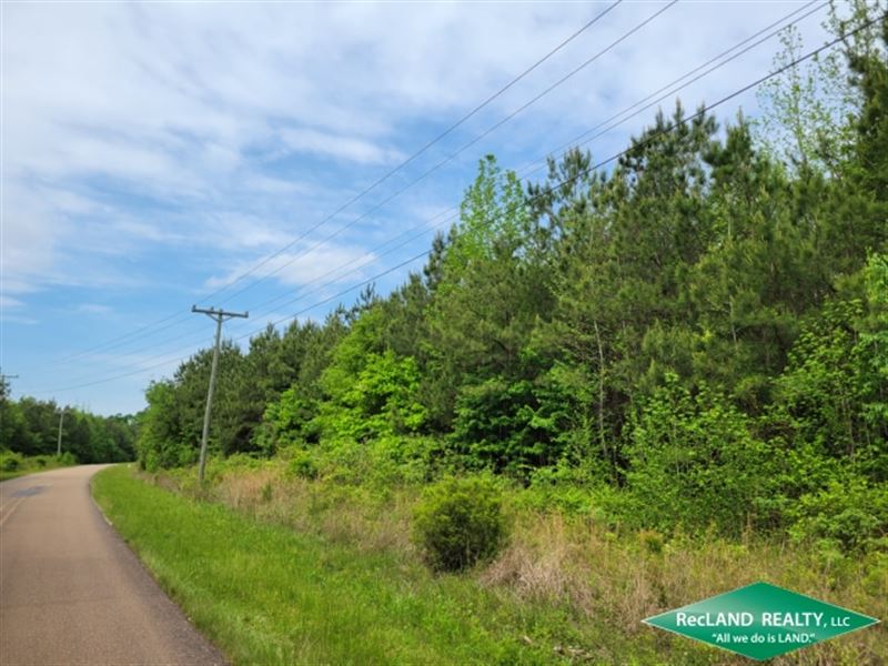 37.6 Ac Wooded Tract for Homesite : Crossett : Ashley County : Arkansas