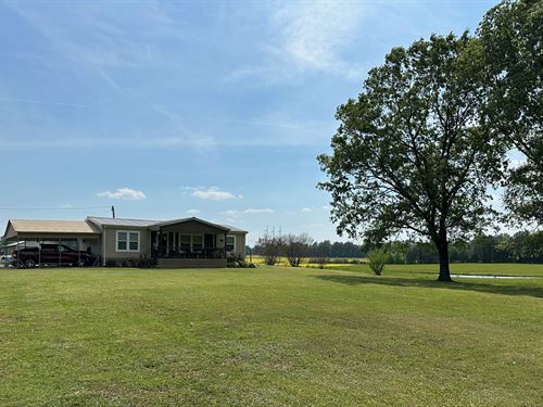 Home / Farm with Land & Pond : Middleton : Hardeman County : Tennessee