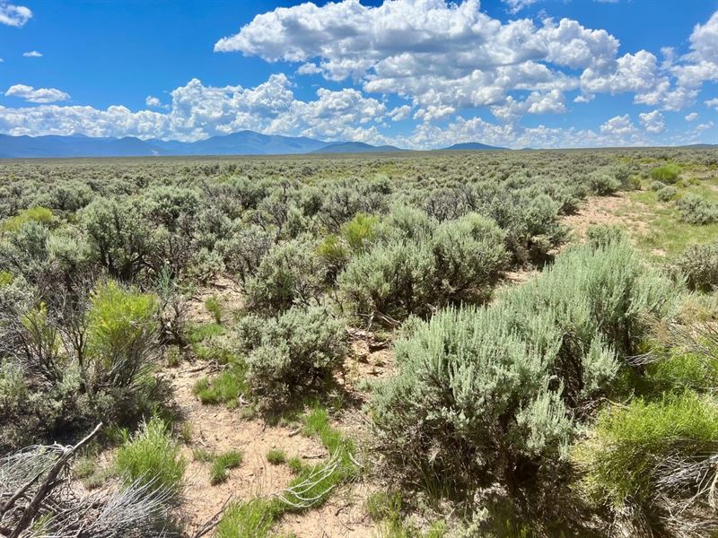 Sunshine Valley 120 Ac Taos County : Questa : Taos County : New Mexico