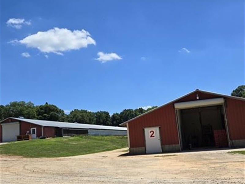 4 House Breeder Farm in GA : Canon : Franklin County : Georgia