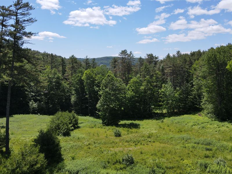 Byron Hill Forest : Hartford : Windsor County : Vermont