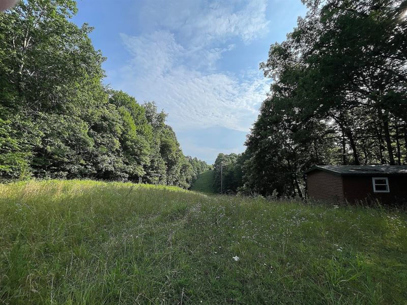 Collier Rd, 104 Acres, Scioto Cou : South Webster : Scioto County : Ohio