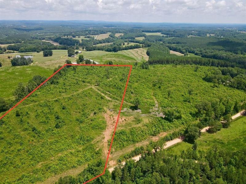 Tract 1, 16.5 Ac Woodland : Woodland : Randolph County : Alabama