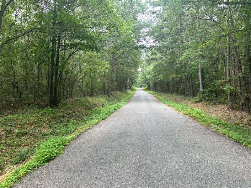 7.5 Acre Homesite for Sale Covingto : Seminary : Covington County : Mississippi