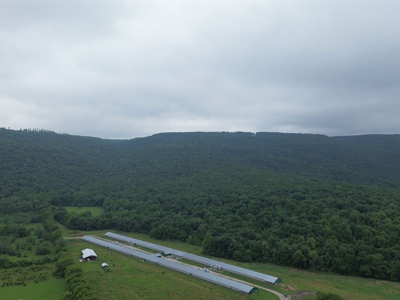 4 Breeder House Farm in TN : Winchester : Franklin County : Tennessee