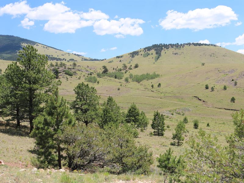 Sunshine Ranch : Cotopaxi : Fremont County : Colorado