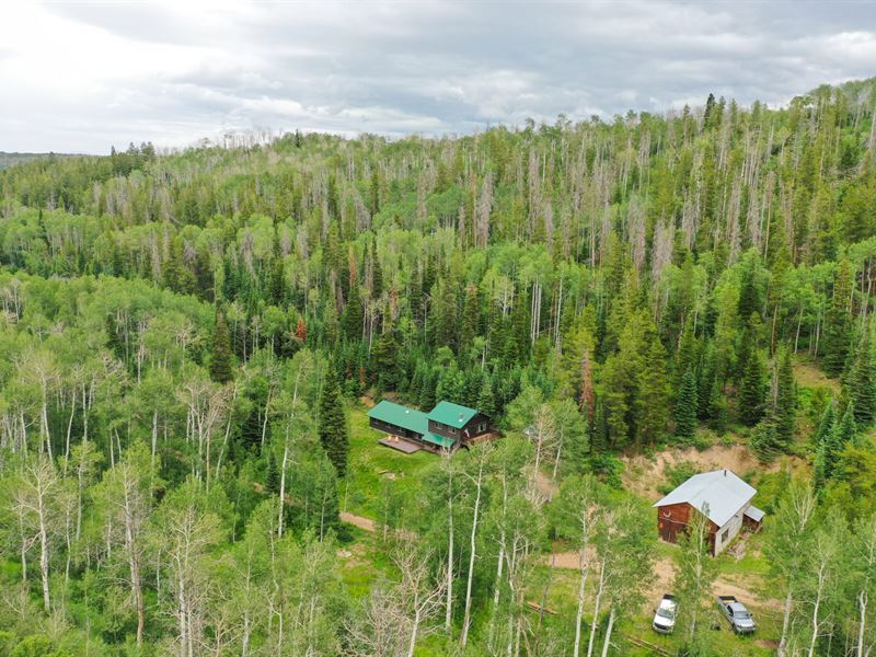 Oak Creek Cabin : Oak Creek : Routt County : Colorado