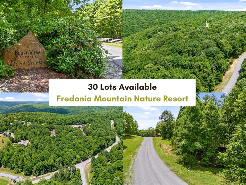 30 Lots, Fredonia Mtn Nature Resort : Dunlap : Sequatchie County : Tennessee