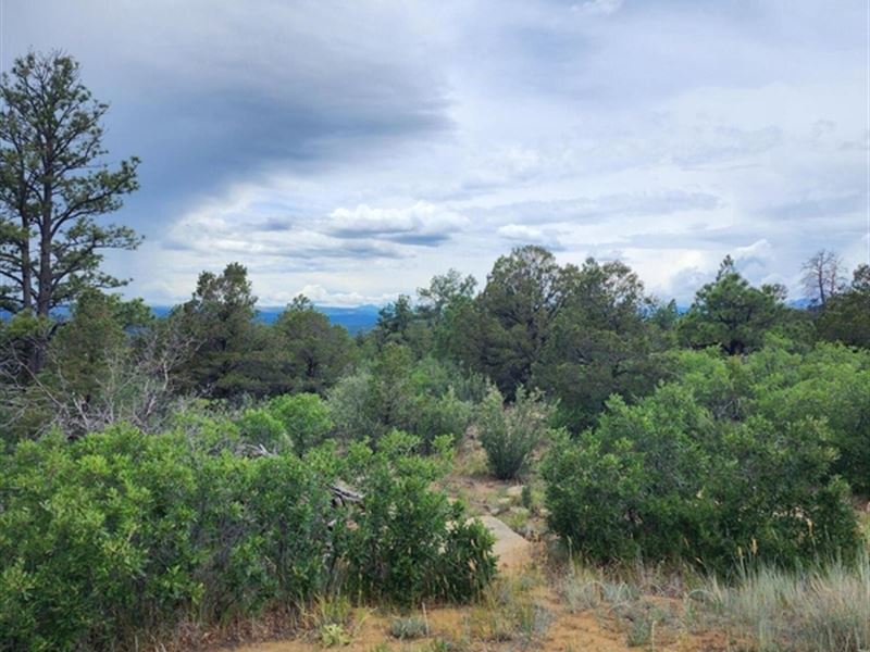 Columbine Circle 251, Weston : Weston : Las Animas County : Colorado