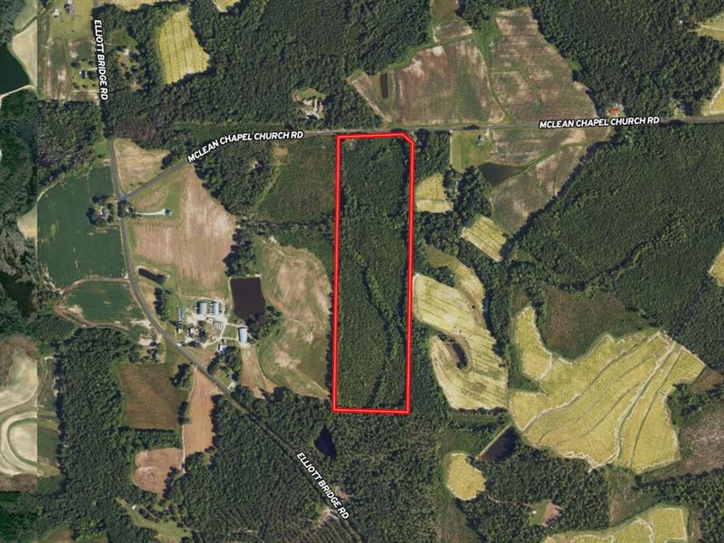 37.42 Acres of Ti : Bunnlevel : Harnett County : North Carolina