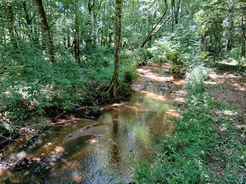 Crystal Clear 20 Acres : Clopton : Barbour County : Alabama