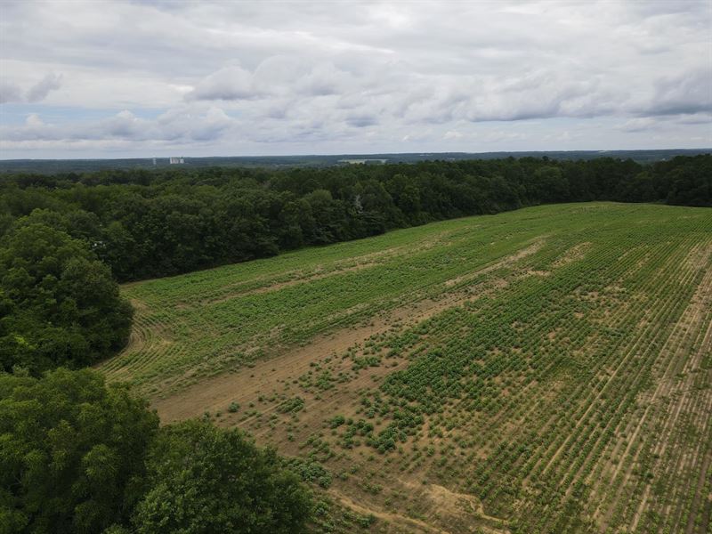 Dale County Newton Minifarm, 14 : Newton : Dale County : Alabama