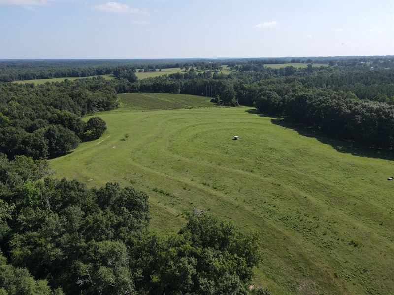 Tarentum Farm and Homesite : Brundidge : Pike County : Alabama