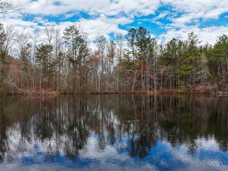 Buncombe Waco Road : Bremen : Haralson County : Georgia