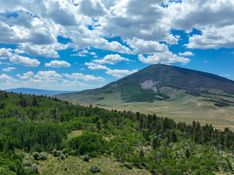 Waunita Park Ranch : Gunnison : Gunnison County : Colorado