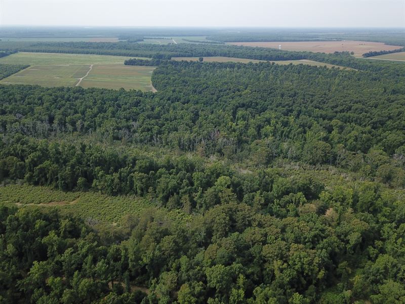 La, Tensas 277 Acres : Waterproof : Tensas Parish : Louisiana