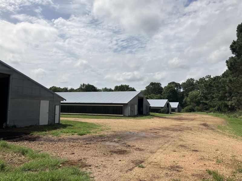 Southwest MS 4 House Broiler Farm : Jayess : Walthall County : Mississippi