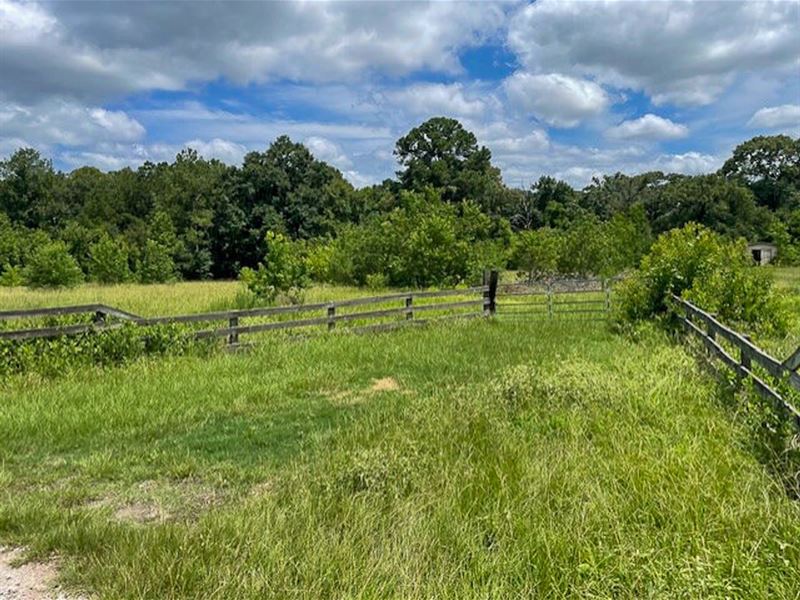 20 Acres, 103A Jenkins Road : Huntsville : Walker County : Texas