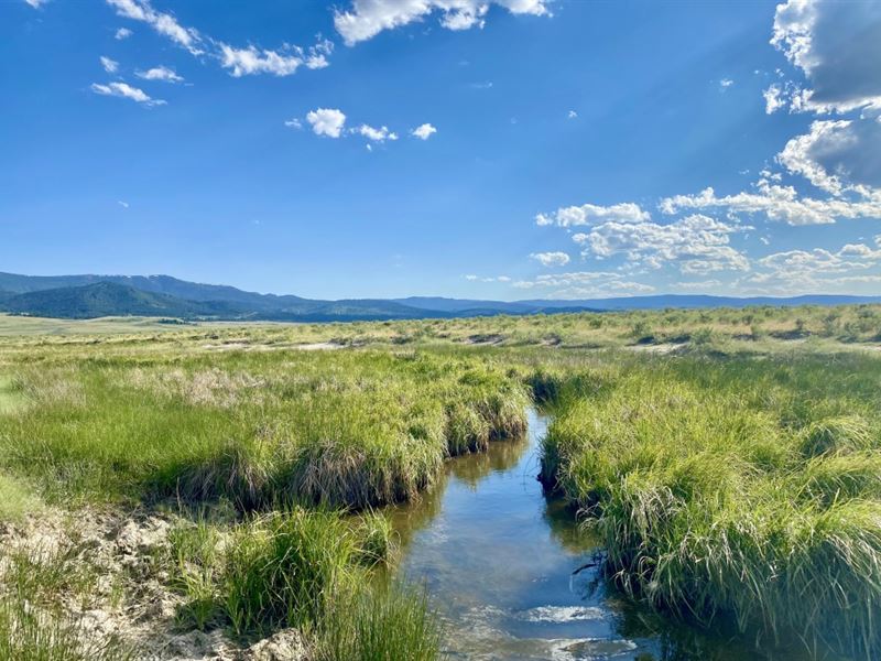 Centennial Valley Acreage : Lima : Beaverhead County : Montana