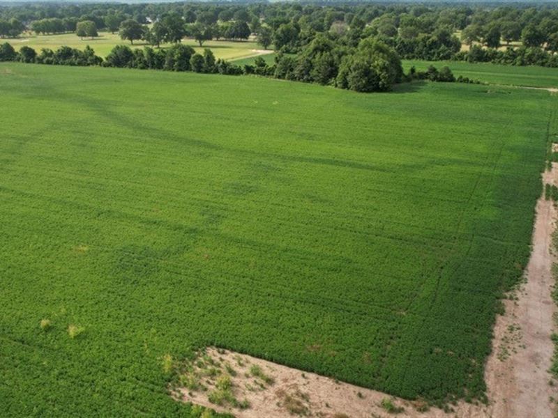 10.69 Acres in Washington County : Greenville : Washington County : Mississippi