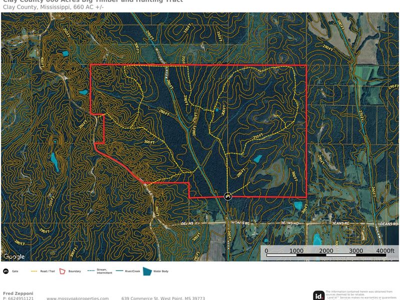 Clay County, 660 Acres Big Timber : West Point : Clay County : Mississippi