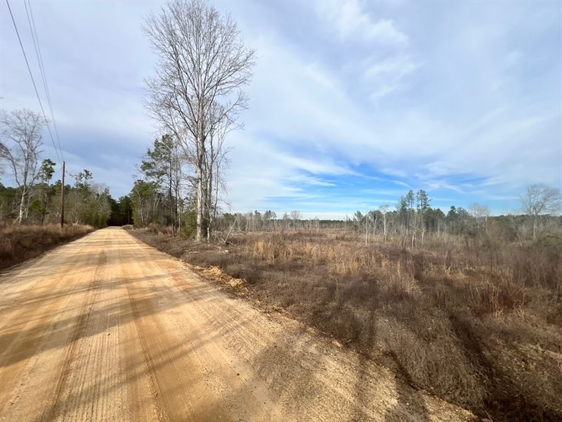 32 Acres in Wayne County, MS In : Waynesboro : Wayne County : Mississippi