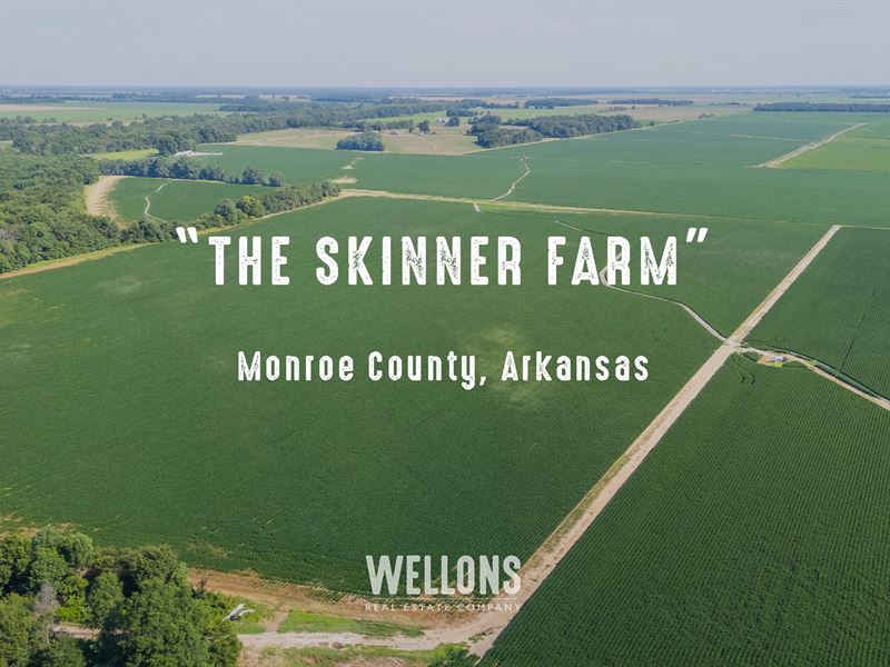 The Skinner Farm : Clarendon : Monroe County : Arkansas