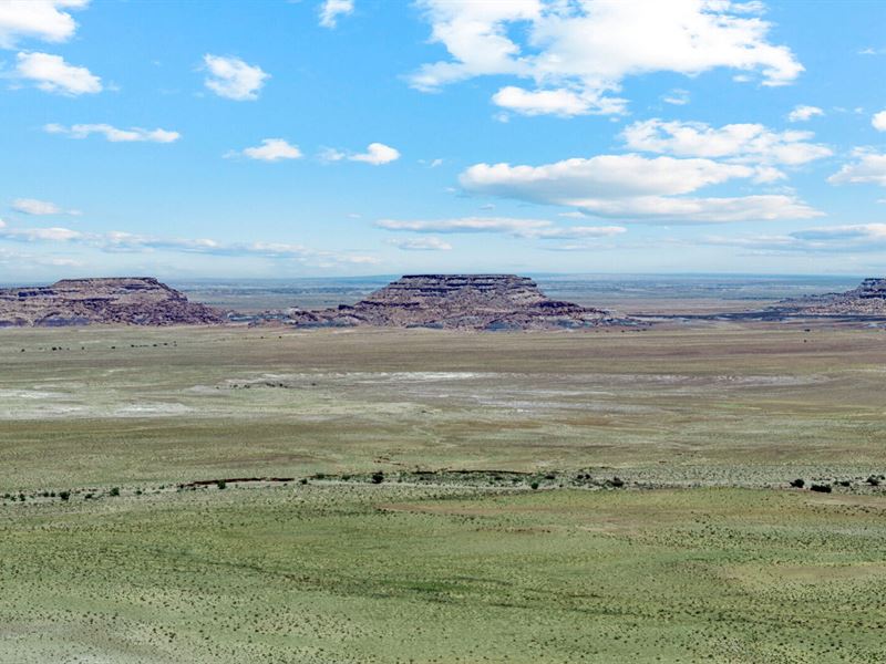 Holbrook Ranch : Holbrook : Navajo County : Arizona