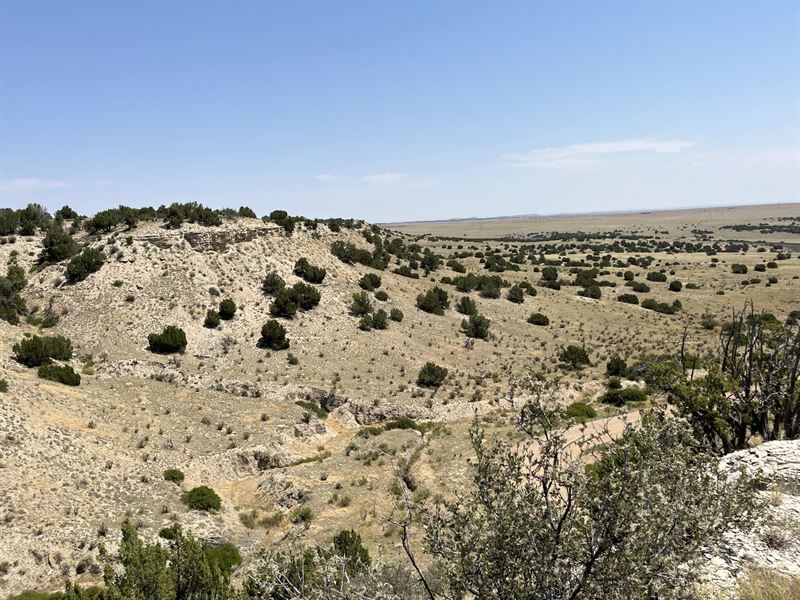 40.15 Acres in Pueblo, Colorado : Pueblo : Pueblo County : Colorado