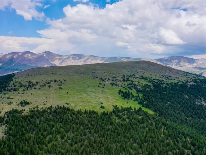 Prospect Mountain Ranch : Leadville : Lake County : Colorado