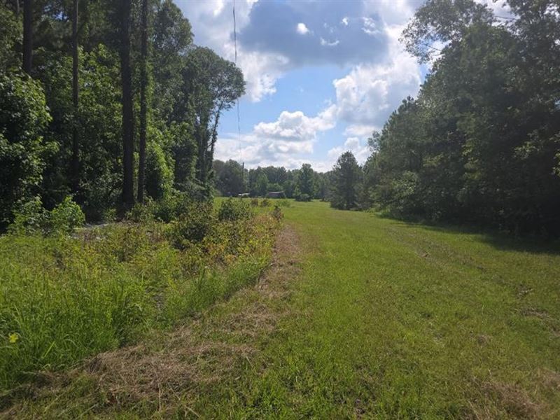 20 Acres in Copiah County in Hazleh : Hazlehurst : Copiah County : Mississippi